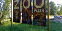 Zoologická zahrada Plzeň