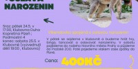 Víkendovka - výlet do PRAŽSKÉ ZOO + oslava narozenin