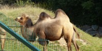 ZOO a botanická zahrada v Plzni