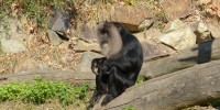 Vítání jara v ZOO a návštěva botanické zahrady - víkendovka s Káťou