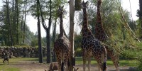Víkend s návštěvou ZOO a BZ Plzeň